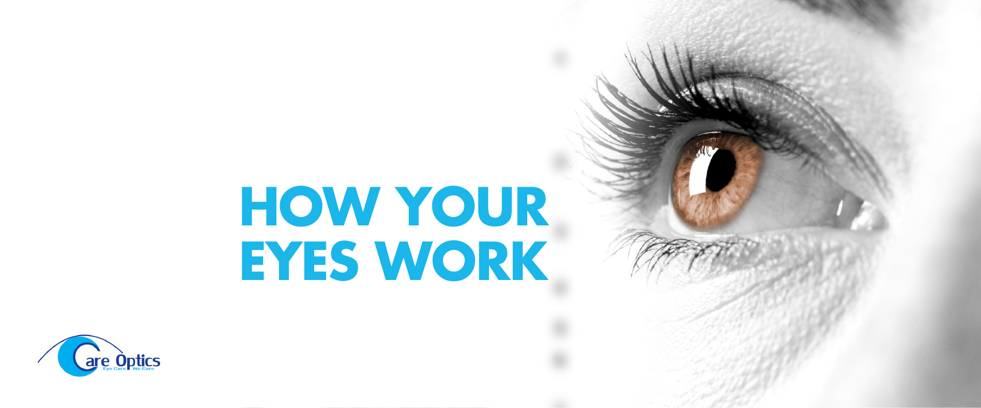 how your eyes work banner